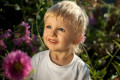 Beautiful smiling boy in a field of flowers  Stock photo